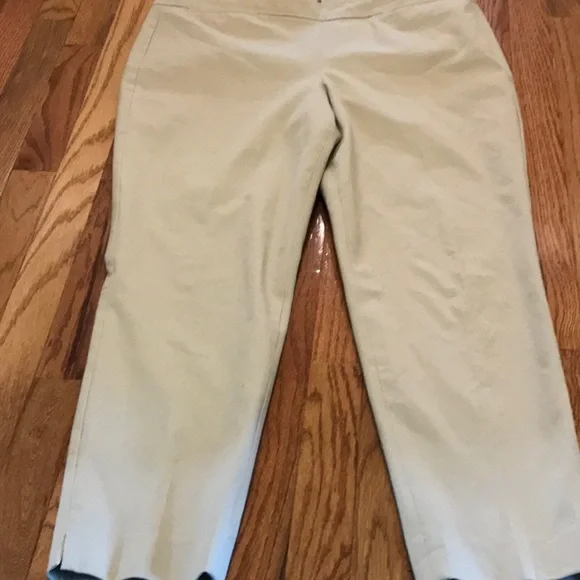 NWOT~Talbots~Casual/Career Pants 🟤 - Picture 2 of 11